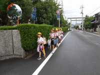IMGP2798