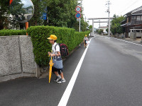 IMGP2801