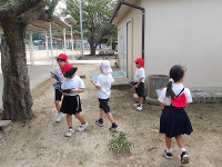 IMGP2829