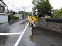IMGP2856