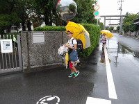 IMGP2861
