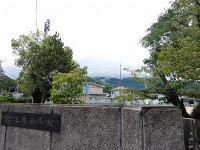 IMGP2937