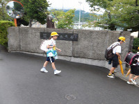 IMGP2924