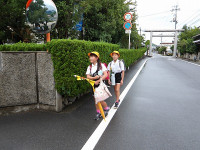 IMGP2926