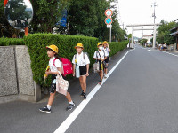 IMGP3008