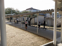 IMGP3025