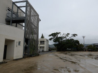 IMGP3123