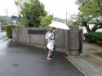 IMGP3119
