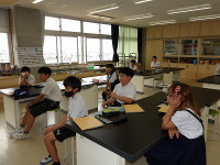 IMGP3154