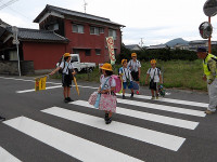 IMGP3223