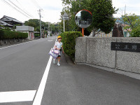 IMGP3225