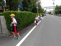 IMGP3228