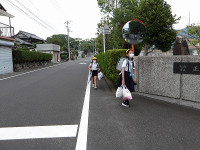 IMGP3234