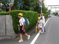 IMGP3235