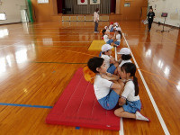 IMGP3286
