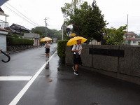 IMGP3313