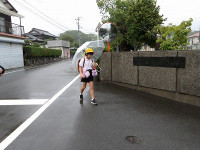 IMGP3317
