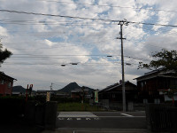 IMGP3366
