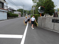 IMGP3368
