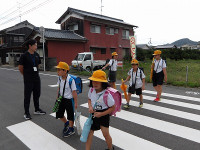 IMGP3371