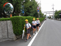 IMGP3372
