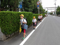 IMGP3373