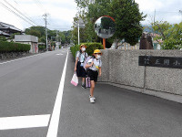 IMGP3377