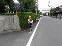 IMGP3378