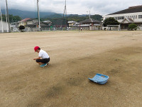 IMGP3385