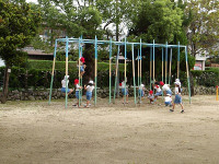 IMGP3408
