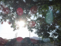 IMGP3457