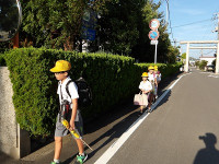 IMGP3445