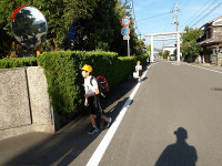 IMGP3454