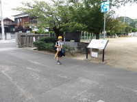 IMGP3641