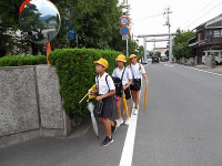 IMGP3646