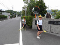 IMGP3648