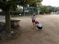 IMGP3661