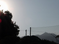 IMGP3753