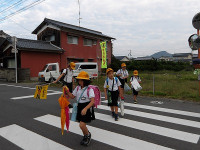 IMGP3851