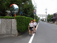 IMGP3854