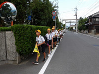 IMGP3855