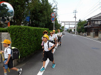 IMGP3856