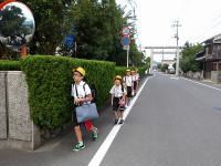 IMGP3859