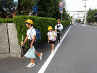 IMGP3861