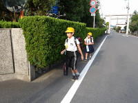 IMGP3862