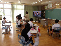 IMGP3946