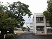 IMGP3956