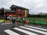 IMGP3961