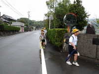 IMGP3962