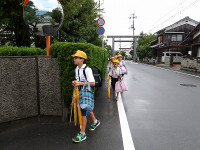 IMGP3966